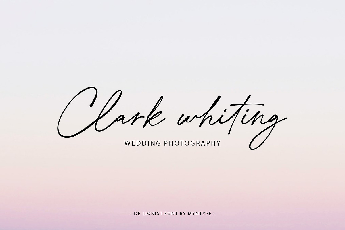 De Lionist - Handwritten Script Font, a Handwritten Font by Myn Type (Photo 8 of 15)