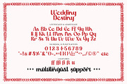 Wedding Destiny - Pretty Font, a Script Font by Airotype (Thumbnail 9 of 10)
