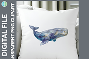 Whale Illustration Bundle, 20 PNG, an Animal Illustration by Enliven Designs (Thumbnail 7 of 8)