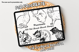 100 Cat Breed Procreate Stamps