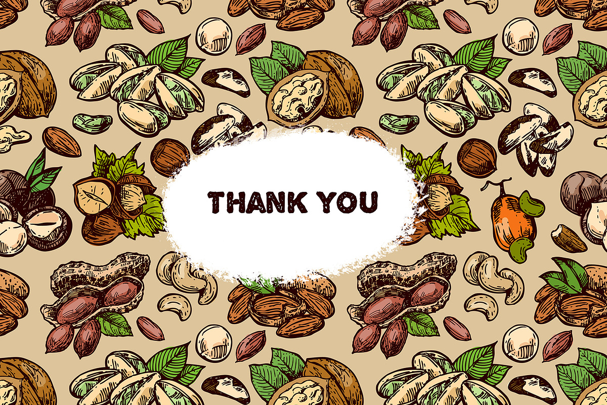 Nuts sketch, a Food Illustration by Steshnikova (Photo 5 of 5)