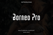 Borneo Pro - Modern Sans Serif, a Sans Serif Font by portype (Thumbnail 1 of 5)