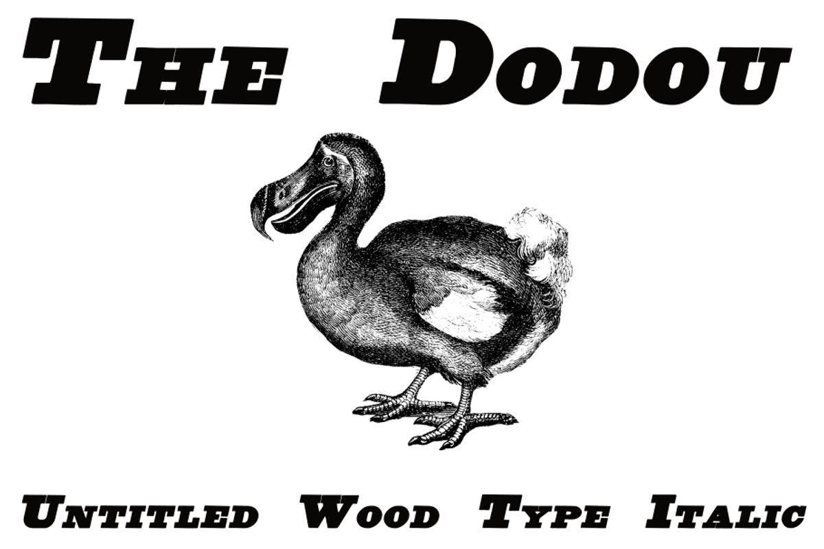 Untitled Wood Type FAMILY PACK, a Serif Font by Intellecta Design (Photo 2 of 7)