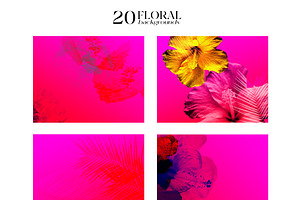 Vibrant Abstract Flowers Backgrounds