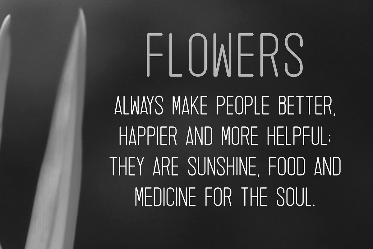 Zeneca Rounded, a Sans Serif Font by almazstudio (Photo 3 of 10)