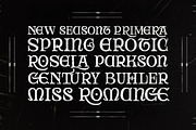 Rocky Aston, a Serif Font by Fontastic (Thumbnail 2 of 9)