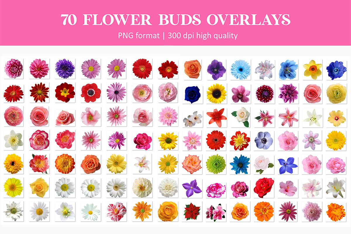 Flower Bud Overlays, an Object Graphic by VligCreativeStudio (Photo 4 of 4)