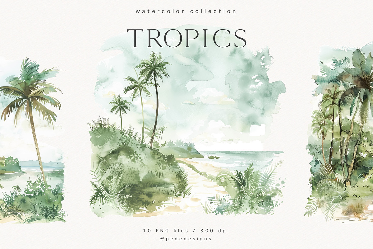 Watercolor Tropics, a Decorative Illustration by PeDe Designs (Photo 8 of 13)