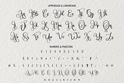 Berbec | Script Font, a Script Font by Scratchones (Thumbnail 4 of 8)