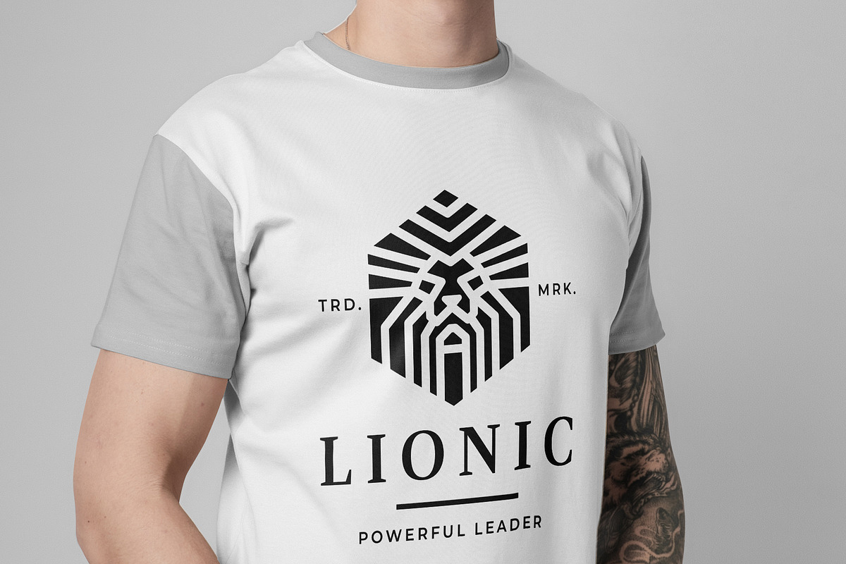 Lionic Lion Head Logo, a Branding & Logo Template by Design_Planet (Photo 7 of 7)