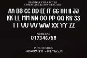 Annabeth, a Serif Font by FreshTypeINK (Thumbnail 2 of 8)