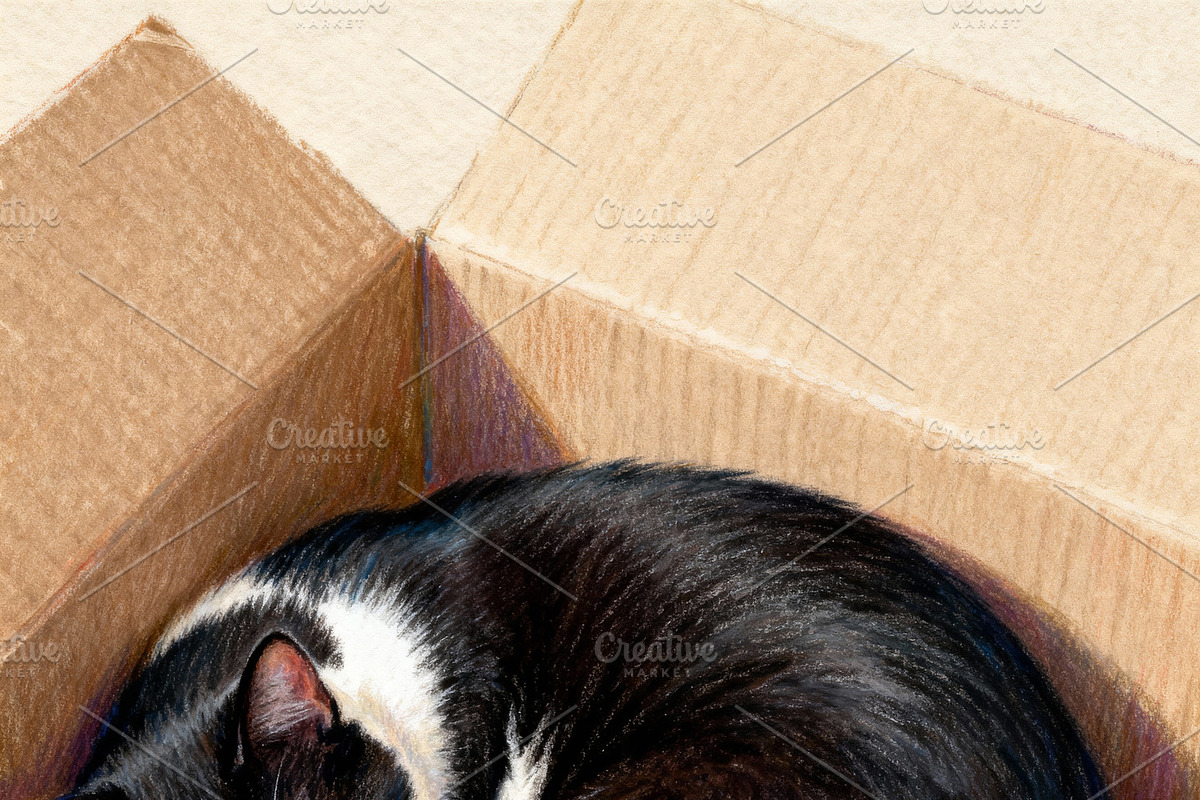 Cozy Cat Art Print Illustration, an Animal Illustration by Virgo Studio