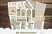 Cabinet of Curiosities junk journal, a Decorative Illustration by meribela (Thumbnail 5 of 7)