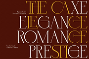 GC Trench Vogue - Chic Elegant Serif, a Serif Font by Glyphonic (Thumbnail 10 of 15)