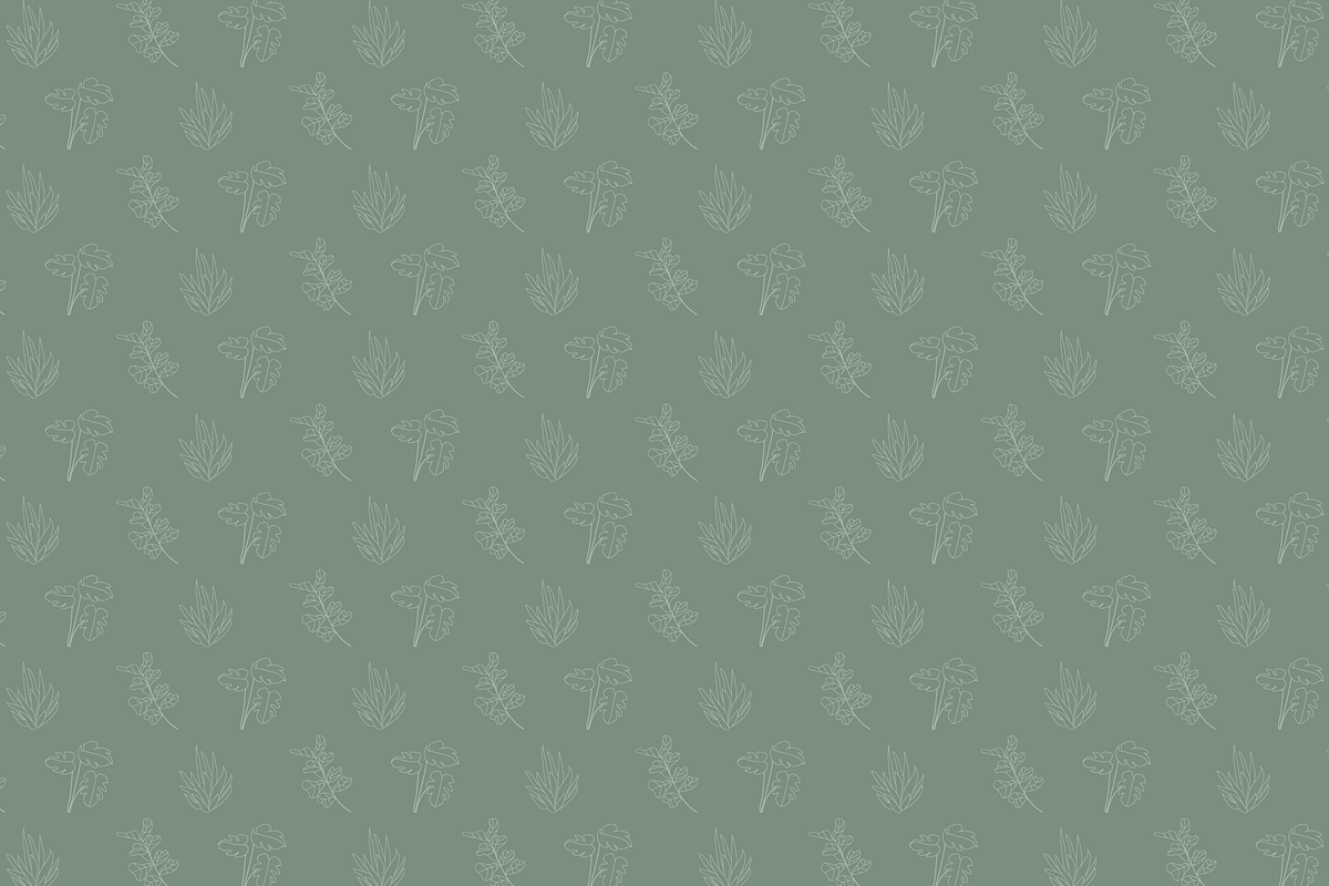 Minimalist Plants - Illustrations, an Illustration by naima.design (Photo 4 of 5)