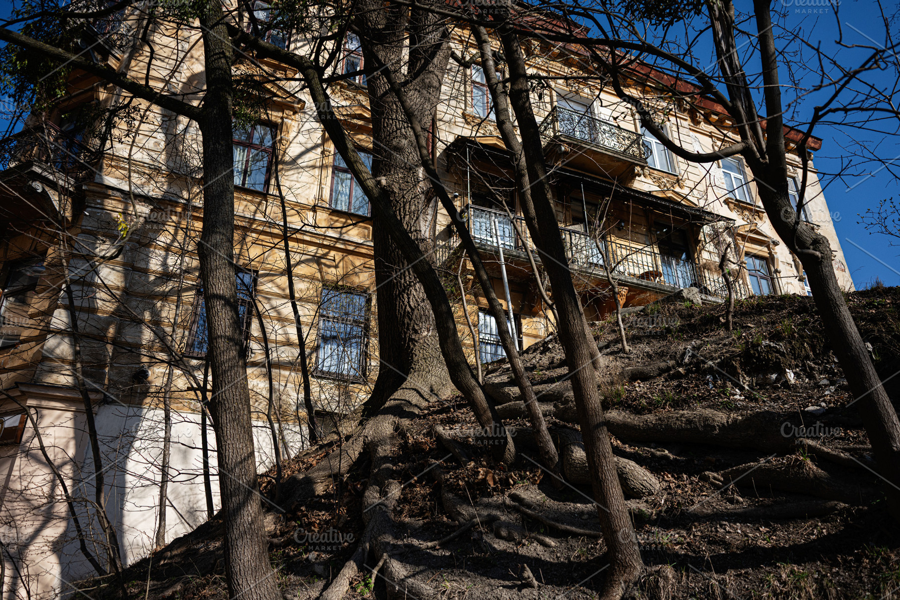 Historic Building Behind Trees on a Sunny Day in Lviv, Ukraine, a Photo by AS photostudio