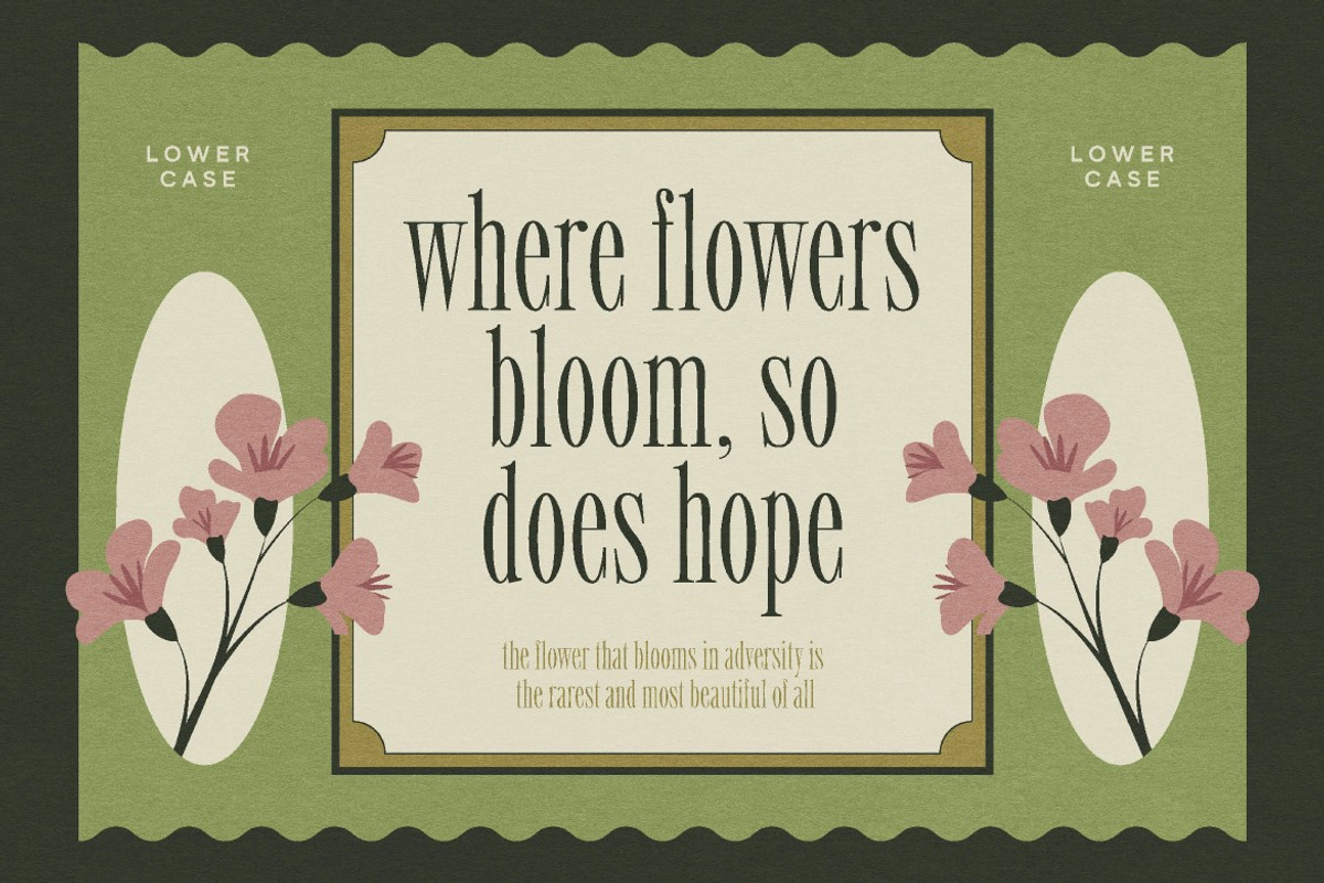 Modiserif, a Serif Font by graphicook (Photo 8 of 10)