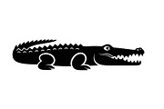 Crocodile Alligator Vector Bundle, an Illustration by jahid234 (Thumbnail 5 of 51)