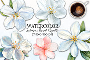Jasmine Flower Bloom Clipart, an Illustration by Rose Art (Thumbnail 1 of 5)