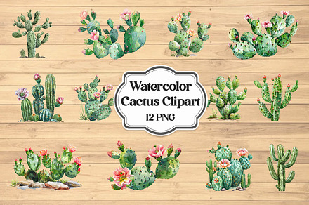 Cactus PNG Clipart Set, Exotic Plant, an Object Graphic by Pixeness