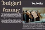 Brighser | Retro Serif Family, a Serif Font by MchCrafter (Thumbnail 11 of 11)