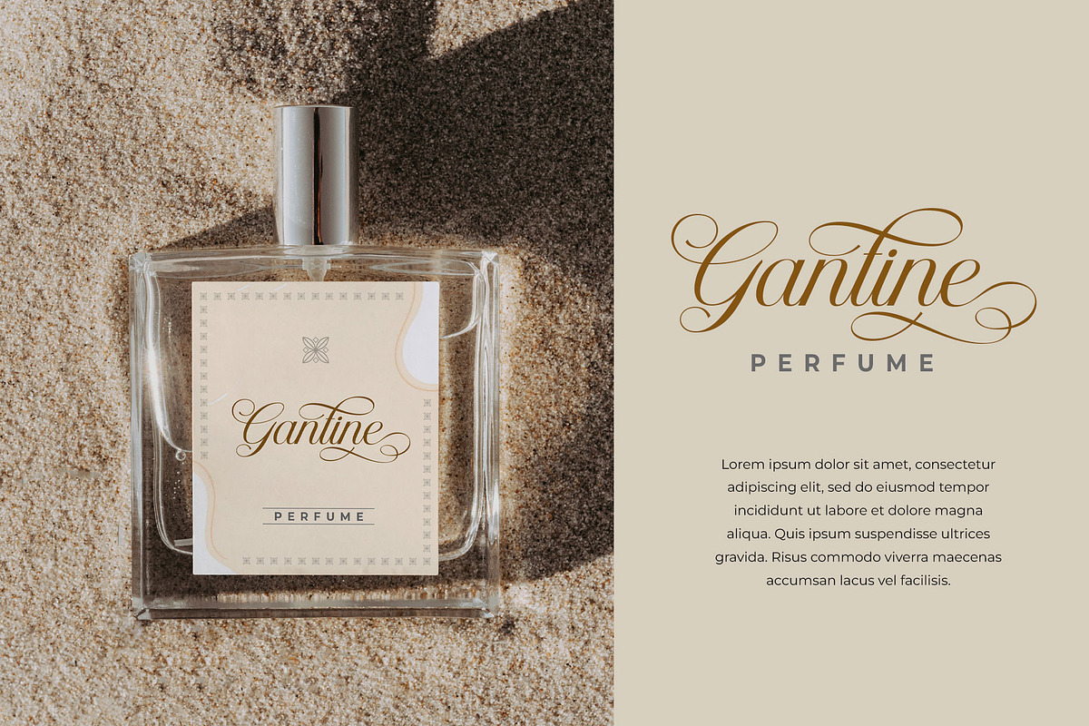 Helyna Elegant Script Font, a Script Font by RantautypeStudio (Photo 7 of 19)