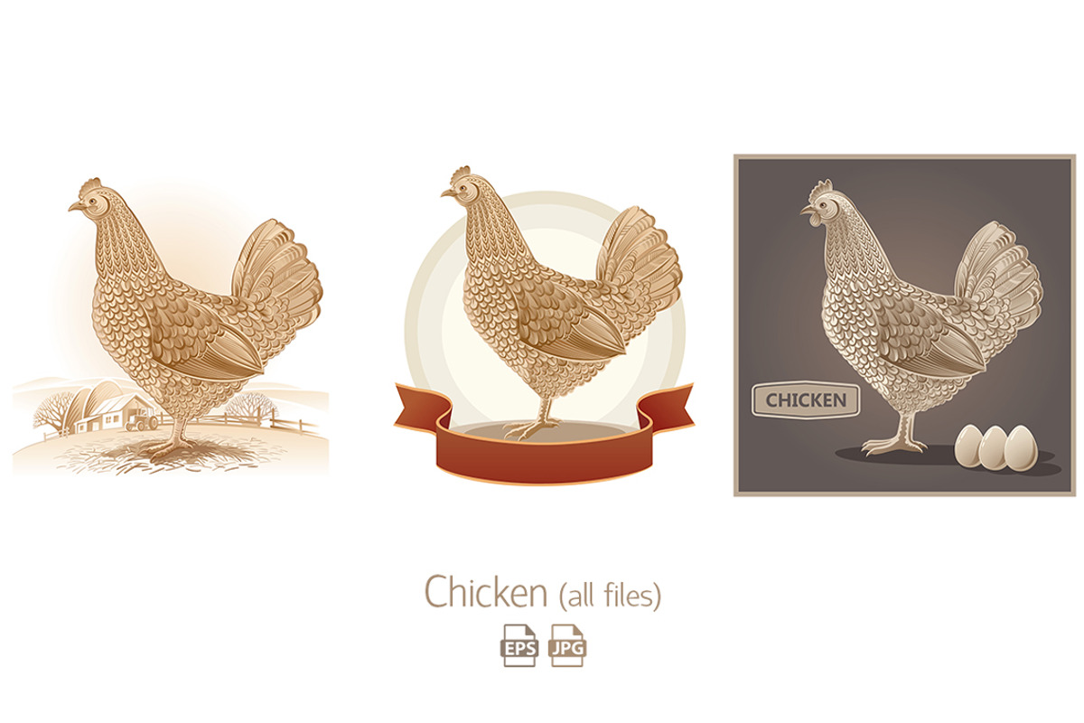 Farm birds set, an Animal Illustration by Countryside life (Photo 10 of 12)
