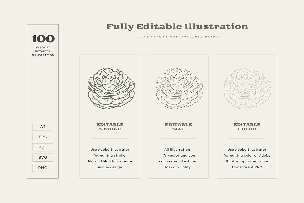 Elegant Botanica | Logo Kit, a Branding & Logo Template by KetteCreate (Photo 18 of 20)