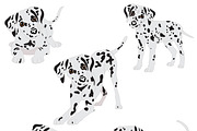 Dalmatian, an Animal Illustration by Orangepencil (Thumbnail 6 of 7)