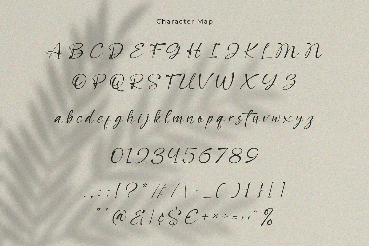 Qallies – Elegant Handwritten Font, a Handwritten Font by BrandSemut (Photo 10 of 11)