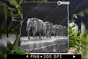 Elephants Group Walking Herd Beach, a Background Graphic by LaseredNinja (Thumbnail 5 of 7)