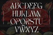 Bagek - Modern Display Serif, a Serif Font by Nirmana Visual (Thumbnail 4 of 8)