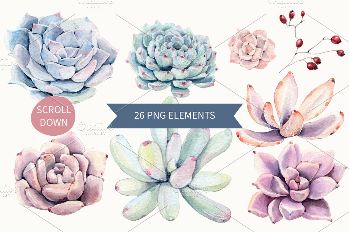 Oh my Succulents watercolor set, an Illustration by Lemaris (Photo 3 of 9)