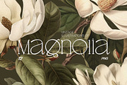 Magnolia - botanical illustrations, a Decorative Illustration by AI Crafted Magnolia (Thumbnail 1 of 11)