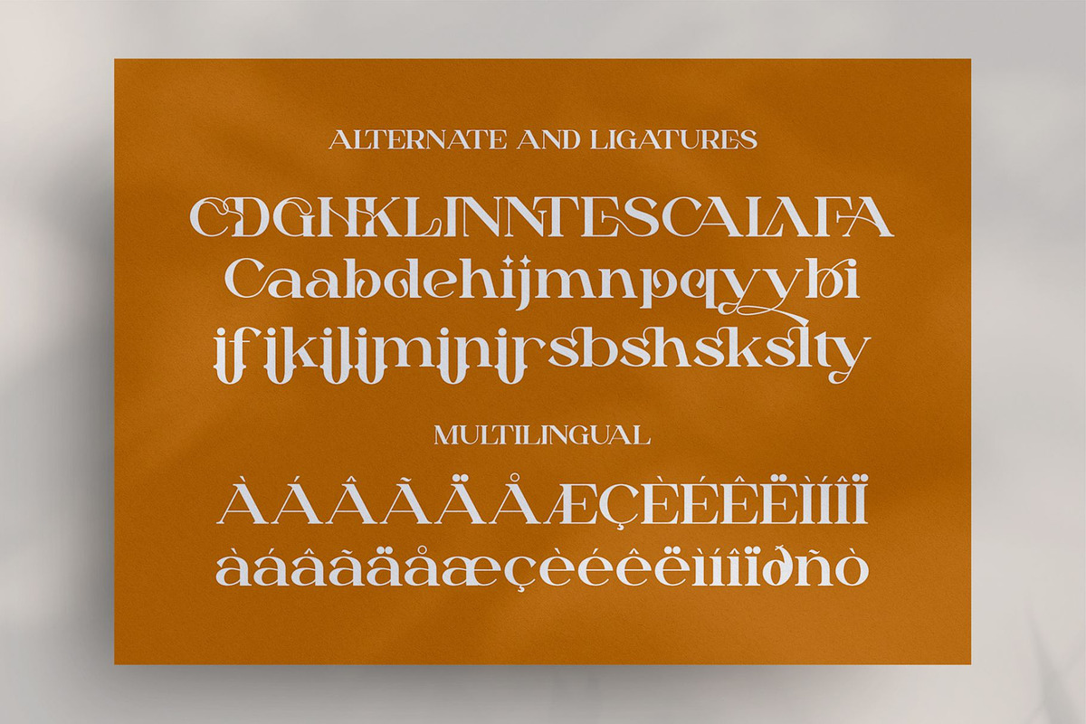 Dailen Style || Serif Font, a Serif Font by Idea Studio (Photo 10 of 10)
