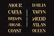 Stand For Honour, a Serif Font by Novitype (Thumbnail 7 of 10)