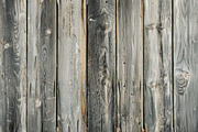 rustic wood grain texture bundle, a Texture Graphic by VetalStock (Thumbnail 11 of 11)