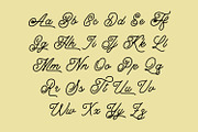 Jinglers - Monoline Script Font, a Script Font by Arendxstudio (Thumbnail 11 of 11)