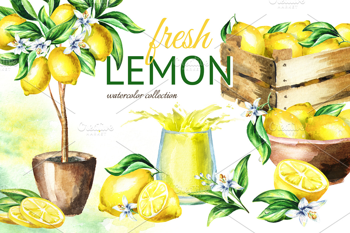 Fresh Lemon. Watercolor collection, a Background Graphic by Daria Ustiugova (Photo 1 of 9)