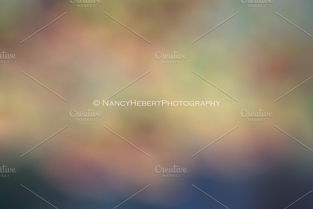 01 Fine Art Digital Texture/Overlay, a Texture Graphic by Nancy Hebert Photography