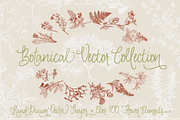 Botanical Vector Collection, an Illustration by Julia Bausenhardt (Thumbnail 1 of 5)