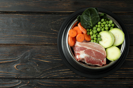 Concept of organic pet food on wooden background, a Food & Drink Photo by AtlasStudio PRO