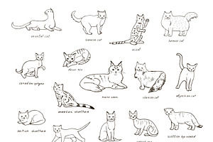 Breeds Of Cats