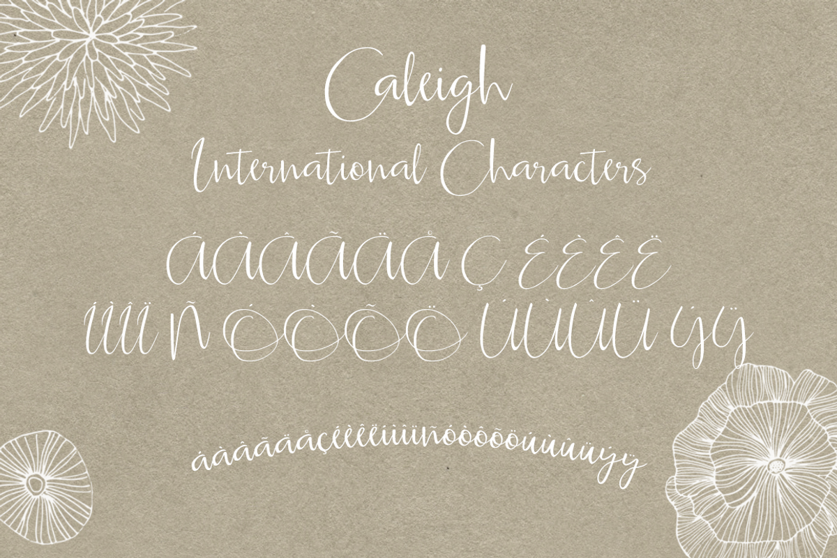 Caleigh Script Font with Bonus preview 3