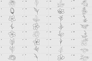 Procreate flower stamp, garden, a Brush Add-On by AnnaPolitmerskaja (Thumbnail 2 of 4)