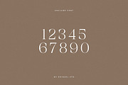 Unclare Modern Ligature Font, a Serif Font by Heinzel Std (Thumbnail 11 of 14)