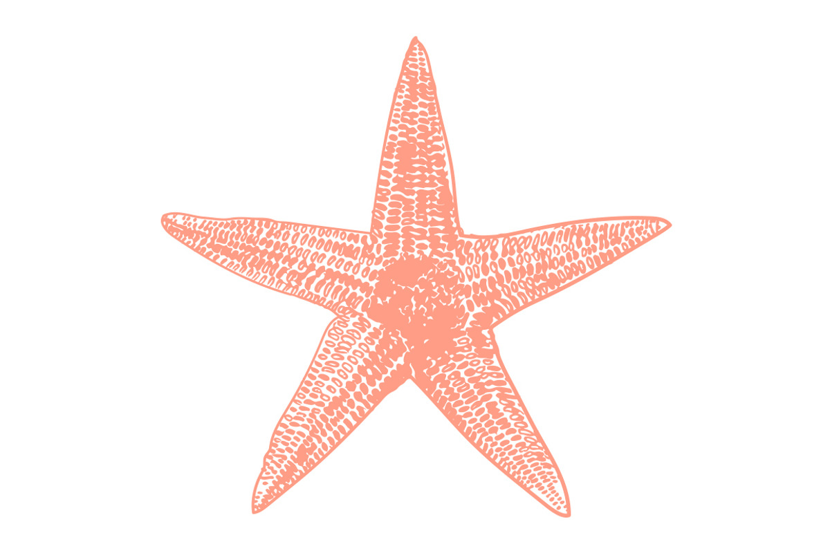 10 Vector Ocean Illustration Pack, an Illustration by Theresa Barba (Photo 11 of 11)