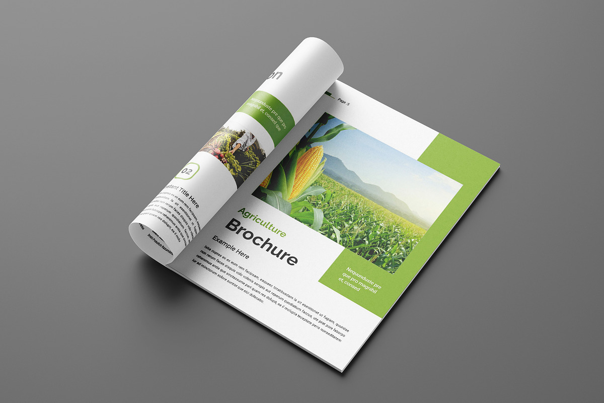 Agriculture Brochure Layout, a Brochure Template by Seeing-art (Photo 3 of 11)