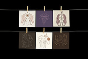 Boho Things Bundle, an Object Illustration by Annie Konst (Thumbnail 5 of 15)