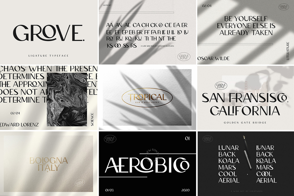 Modern & Elegant Font Bundle preview 5